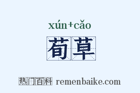 荀草是什么意思的图片